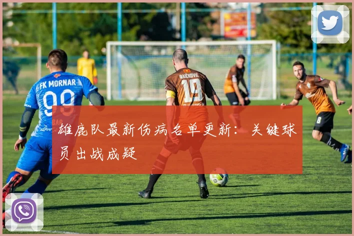雄鹿队最新伤病名单更新:关键球员出战成疑