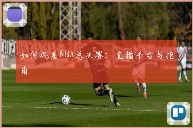 如何观看NBA总决赛：直播平台与指南