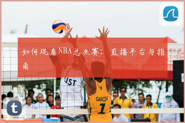 如何观看NBA总决赛：直播平台与指南
